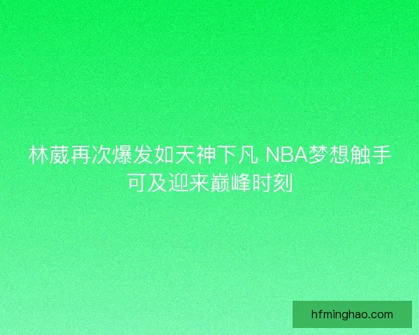 林葳再次爆发如天神下凡 NBA梦想触手可及迎来巅峰时刻