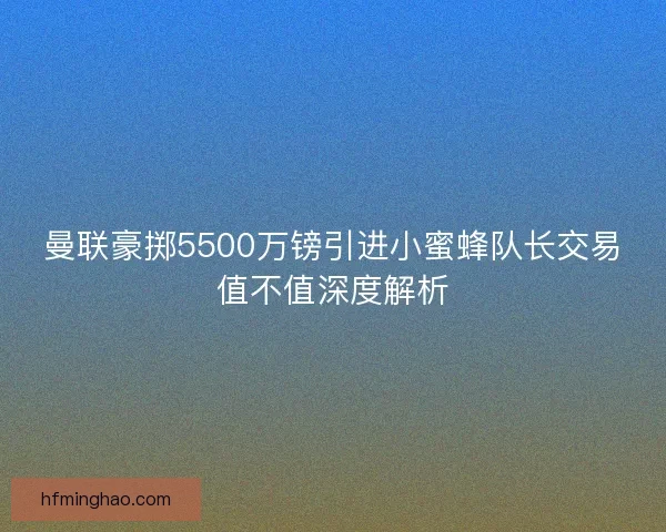 曼联豪掷5500万镑引进小蜜蜂队长交易值不值深度解析