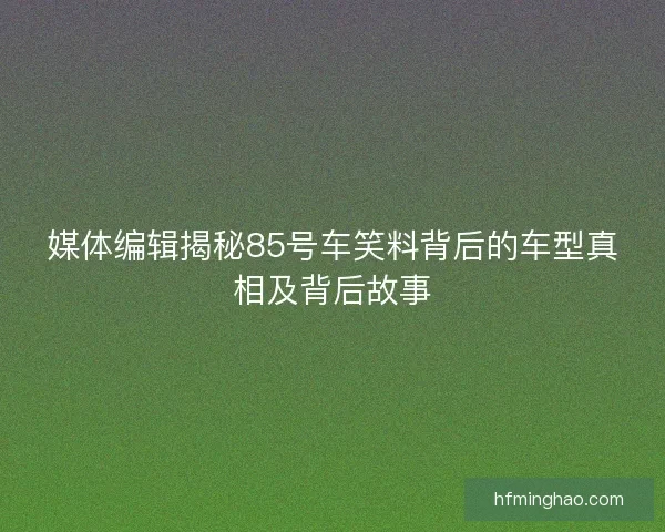 媒体编辑揭秘85号车笑料背后的车型真相及背后故事