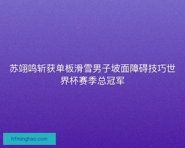 苏翊鸣斩获单板滑雪男子坡面障碍技巧世界杯赛季总冠军